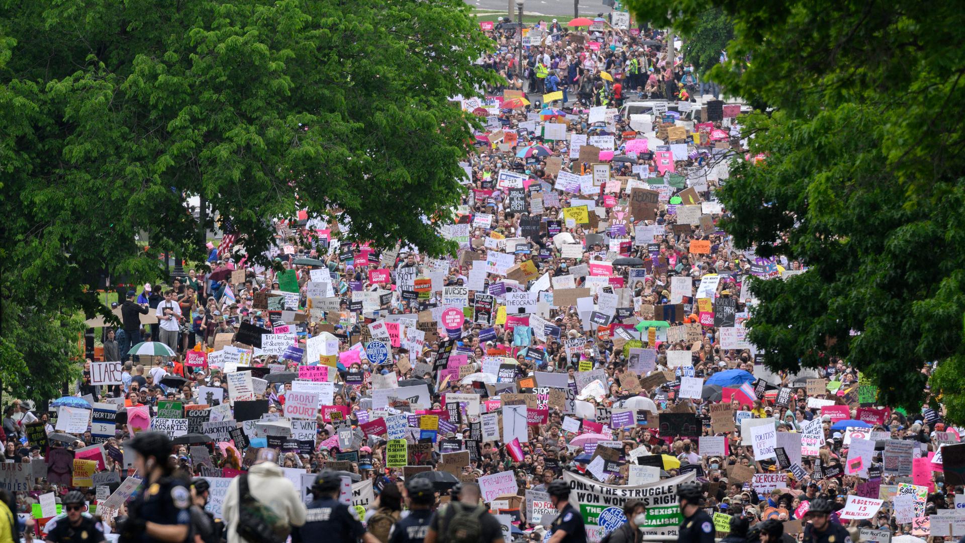 Viele Menschen auf einer Demonstration in der Stadt Washington Viele Menschen auf einer Demonstration in der Stadt Washington