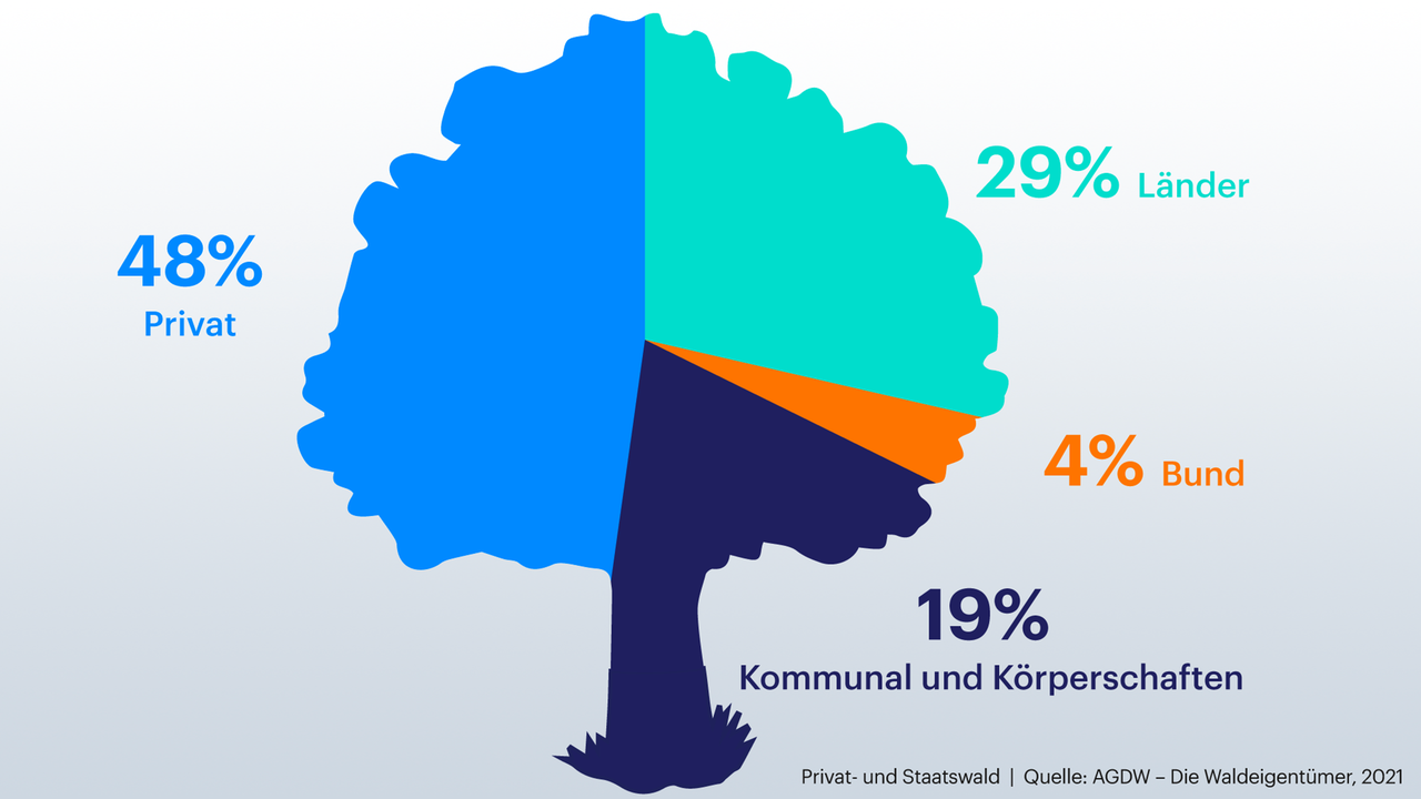 Grafik zeigt wem der Wald gehört: 29% Länder, 4% Bund, 19% kommunal und Körperschaften, 48% Privat