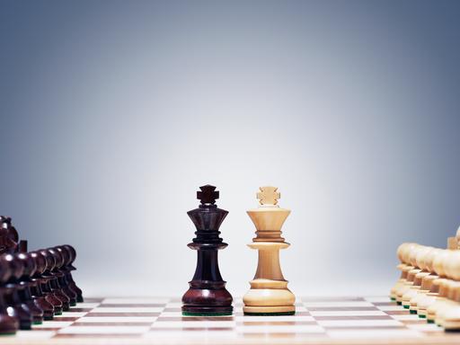 Die beiden Schachkönige stehen in der Mitte des Bretts, rechts und links aufgestellt die weiteren Figuren