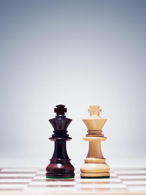 Die beiden Schachkönige stehen in der Mitte des Bretts, rechts und links aufgestellt die weiteren Figuren
