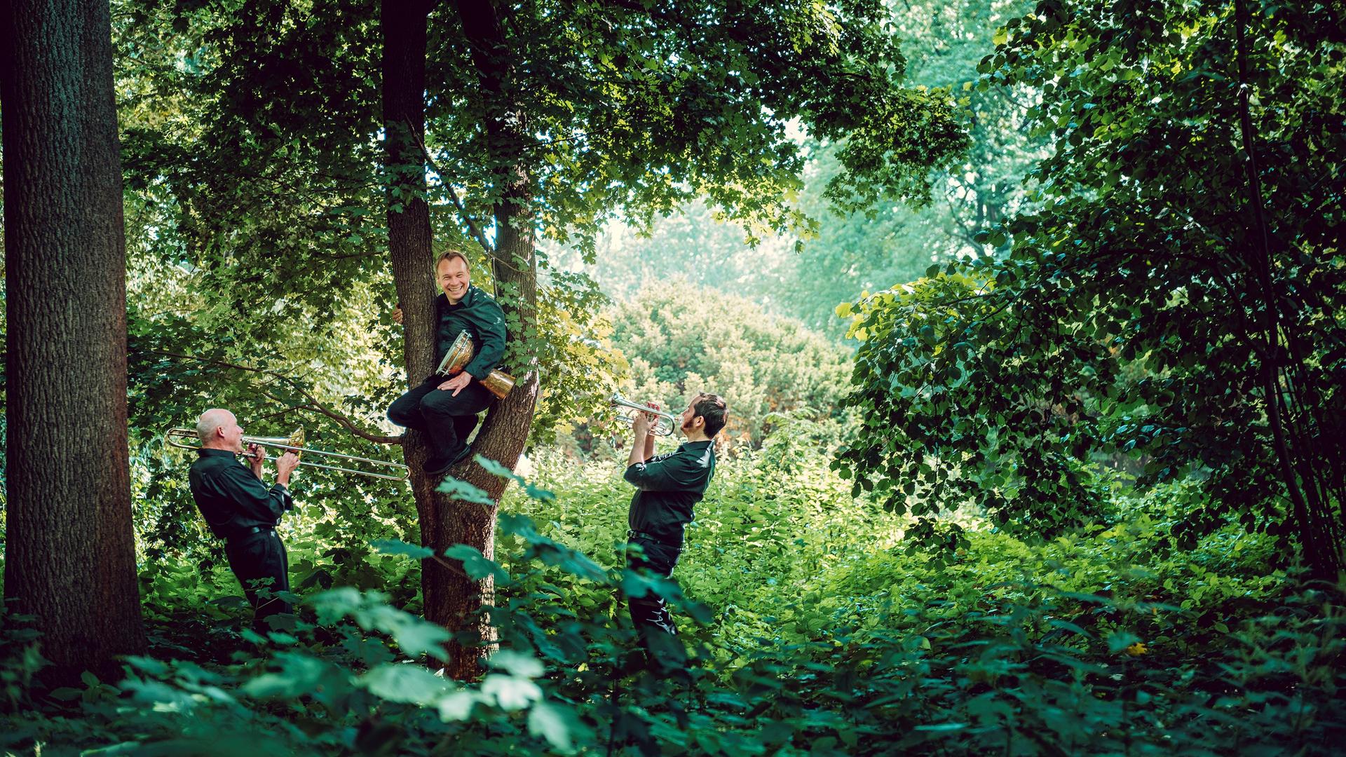 Zwei Trompeter stehen mit Instrumenten in einem Wald um einen Baum herum, auf dem ein Mann mit einer Art Trommel in einer Astgabel sitzt. Zwei Trompeter stehen mit Instrumenten in einem Wald um einen Baum herum, auf dem ein Mann mit einer Art Trommel in einer Astgabel sitzt.