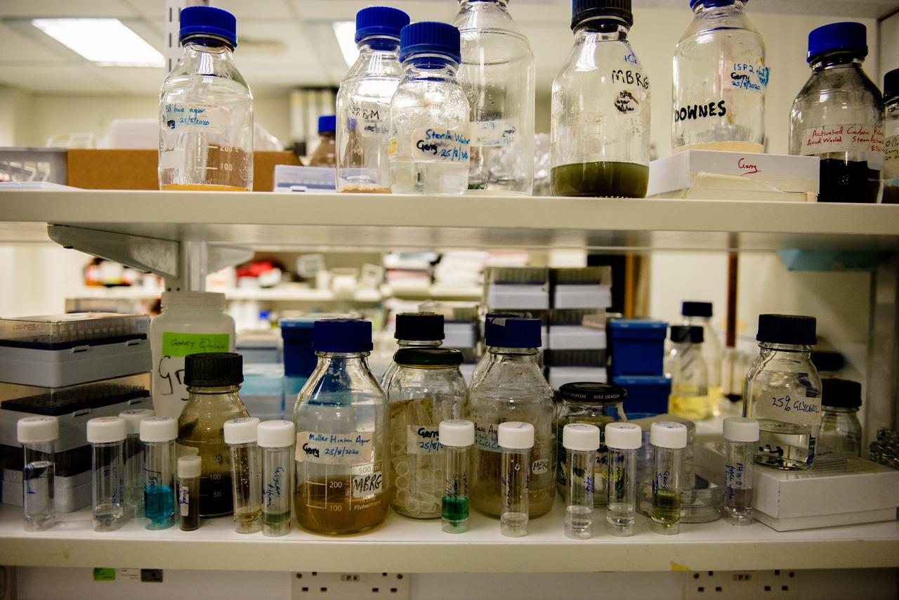 In einem Laborregal stehen verschiedene Glasflaschen und Reagenzgläser, die per Hand beschriftet wurden.