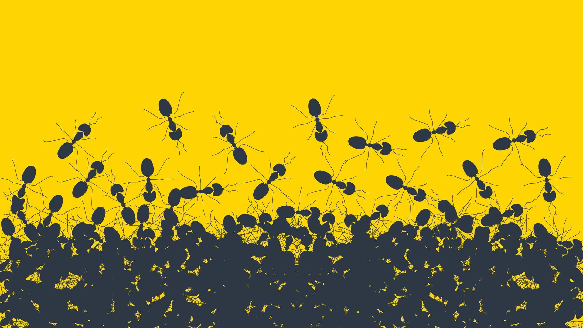 Illustration einer Ameisenkolonie auf gelbem Grund.