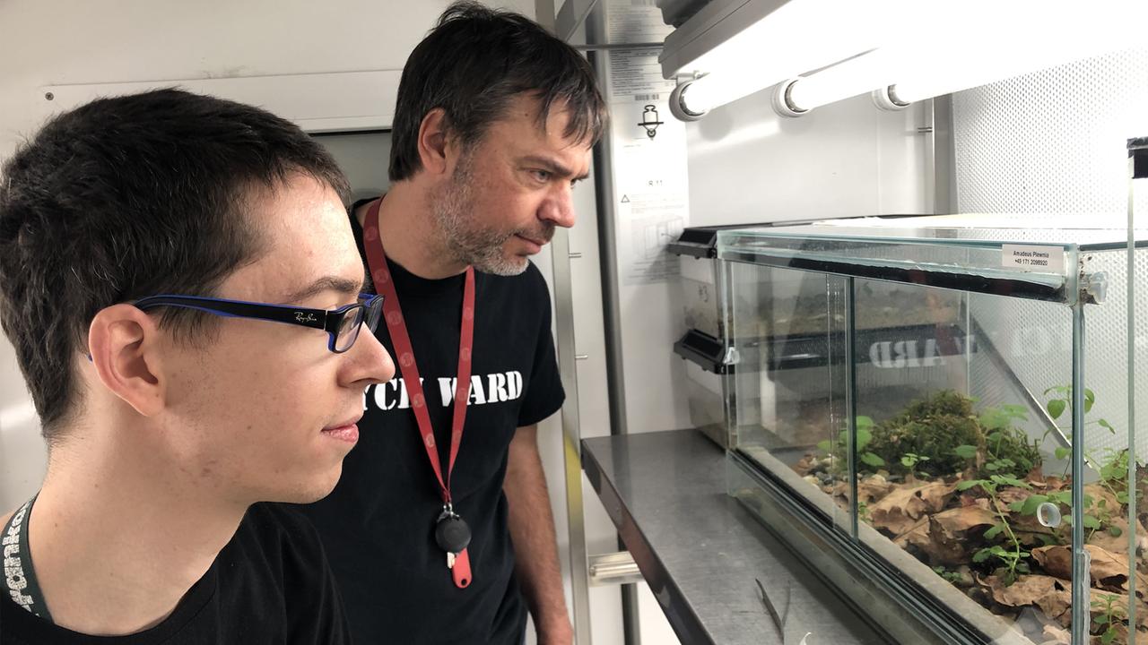 Amadeus Plewnia (l) und Stefan Lötters von der Universität Trier blicken auf ihr Feuersalamander-Terrarium Amadeus Plewnia (l) und Stefan Lötters von der Universität Trier blicken auf ihr Feuersalamander-Terrarium