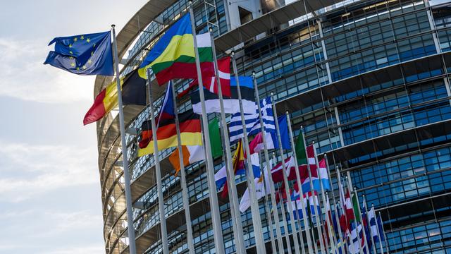 Die Flaggen der Europäischen Union, der Ukraine und der Mitgliedsstaaten der EU wehen vor dem Gebäude des Europäischen Parlaments in Straßburg.