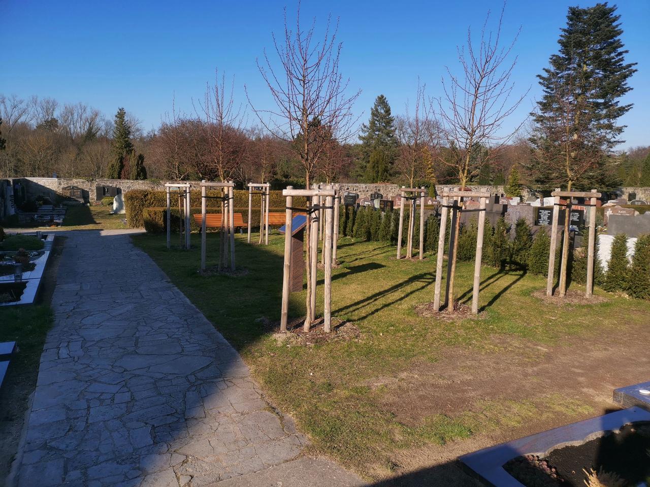 Ein Ort zum Trauern und Erinnern: Gedenkhain für an und mit Covid-19-Verstorbene mit Bänken und Zieräpfeln
