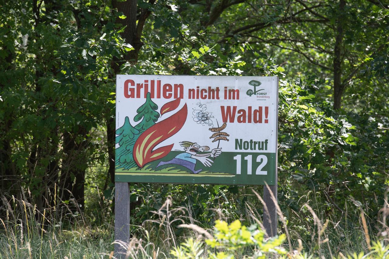 Ein Warnschild mit der Aufschrift "Grillen nicht im Wald" steht in einem Waldgebiet in Brandenburg.