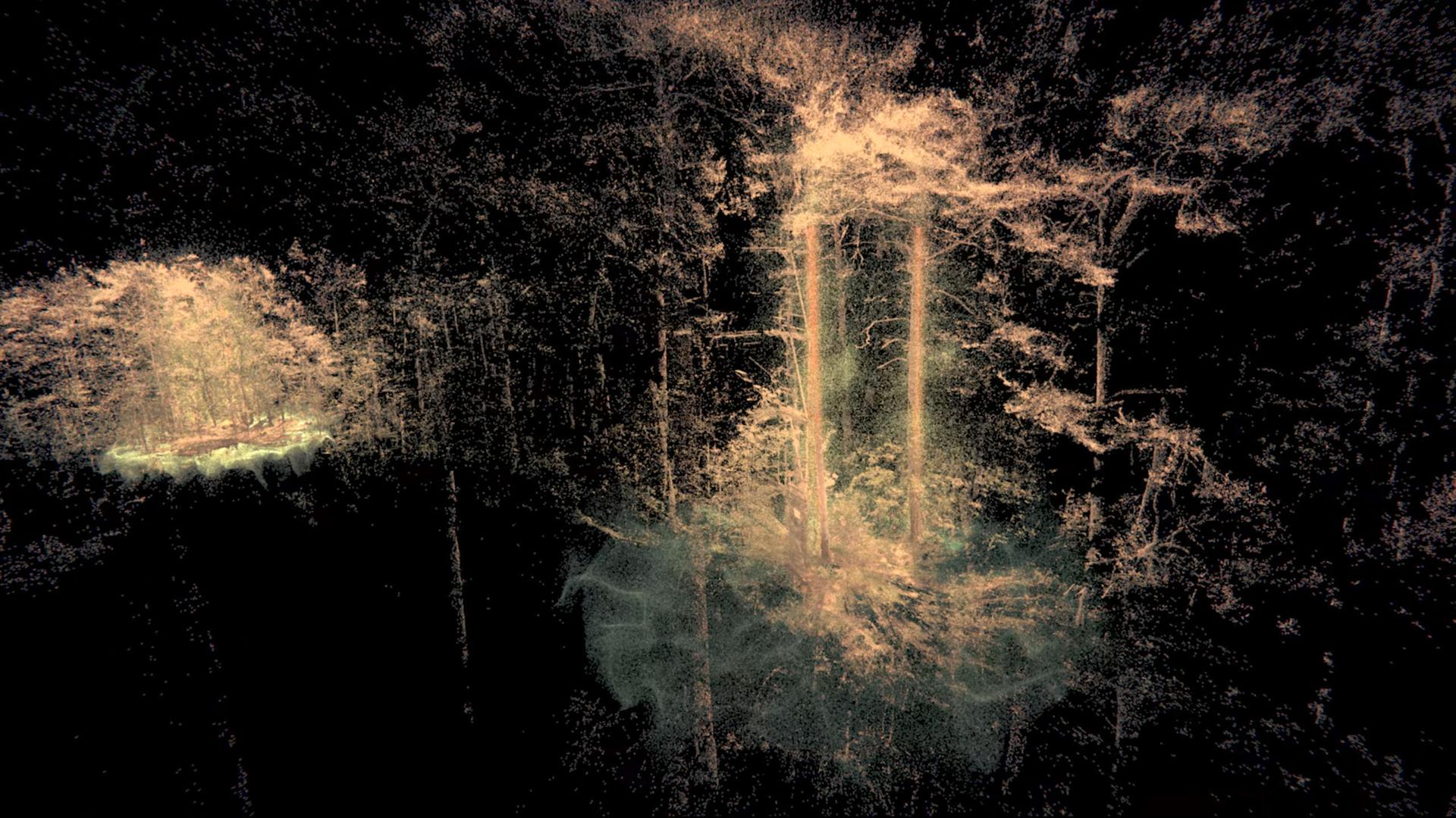 Ansicht der VR-Installation "Atmospheric Forest" von Rasa Smite und Raitis Smits, ausgestellt im HEK Basel Ansicht der VR-Installation "Atmospheric Forest" von Rasa Smite und Raitis Smits, ausgestellt im HEK Basel