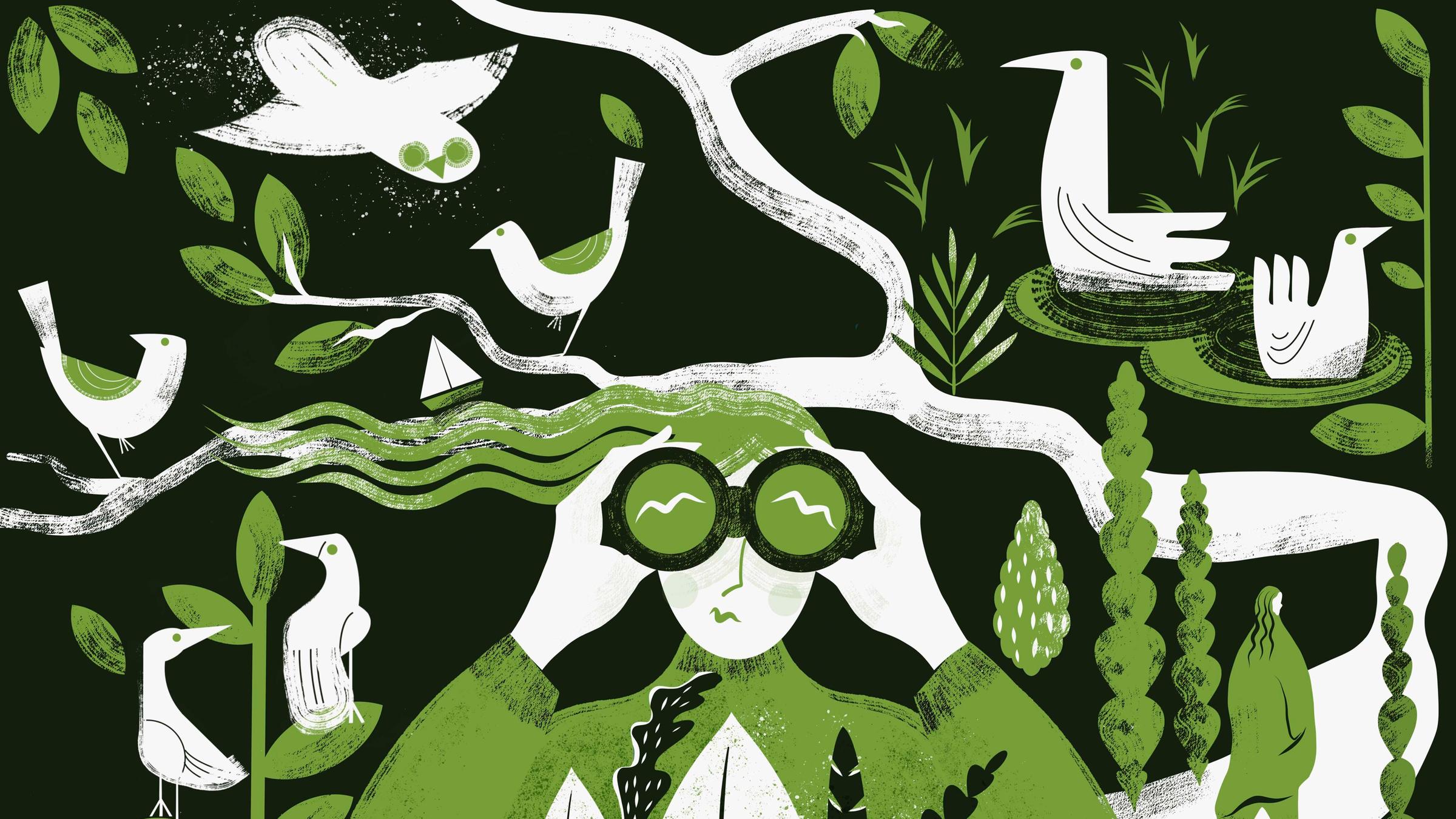 Illustration: eine Umweltschützerin schaut durch ein Fernglas, um sie herum viele verschiedene Vogelarten auf Bäumen und in der Luft.