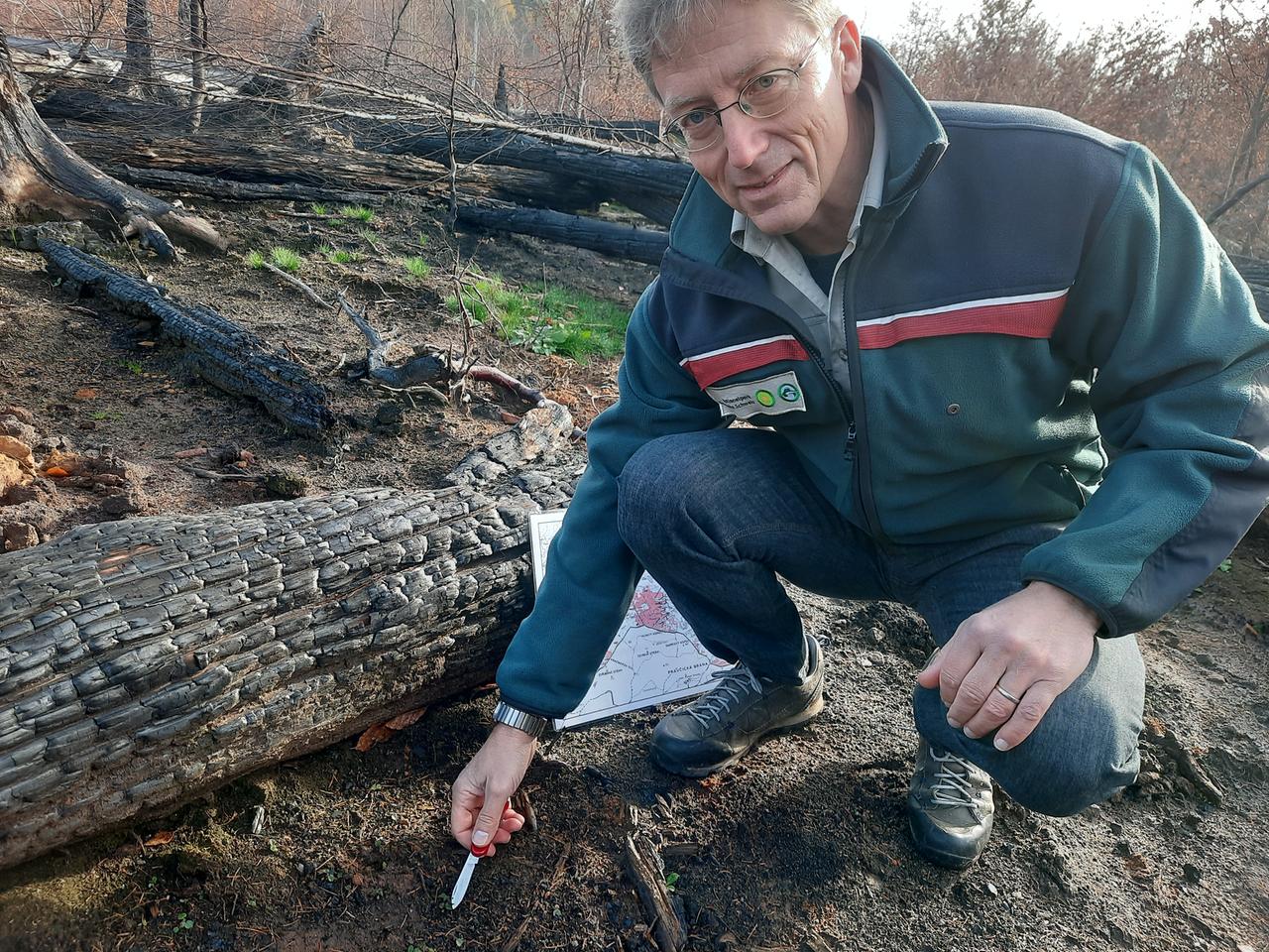 Hanspeter Mayr, Pressesprecher des Nationalparks Sächsische Schweiz, kniet an einem der Brandherde des Sommers