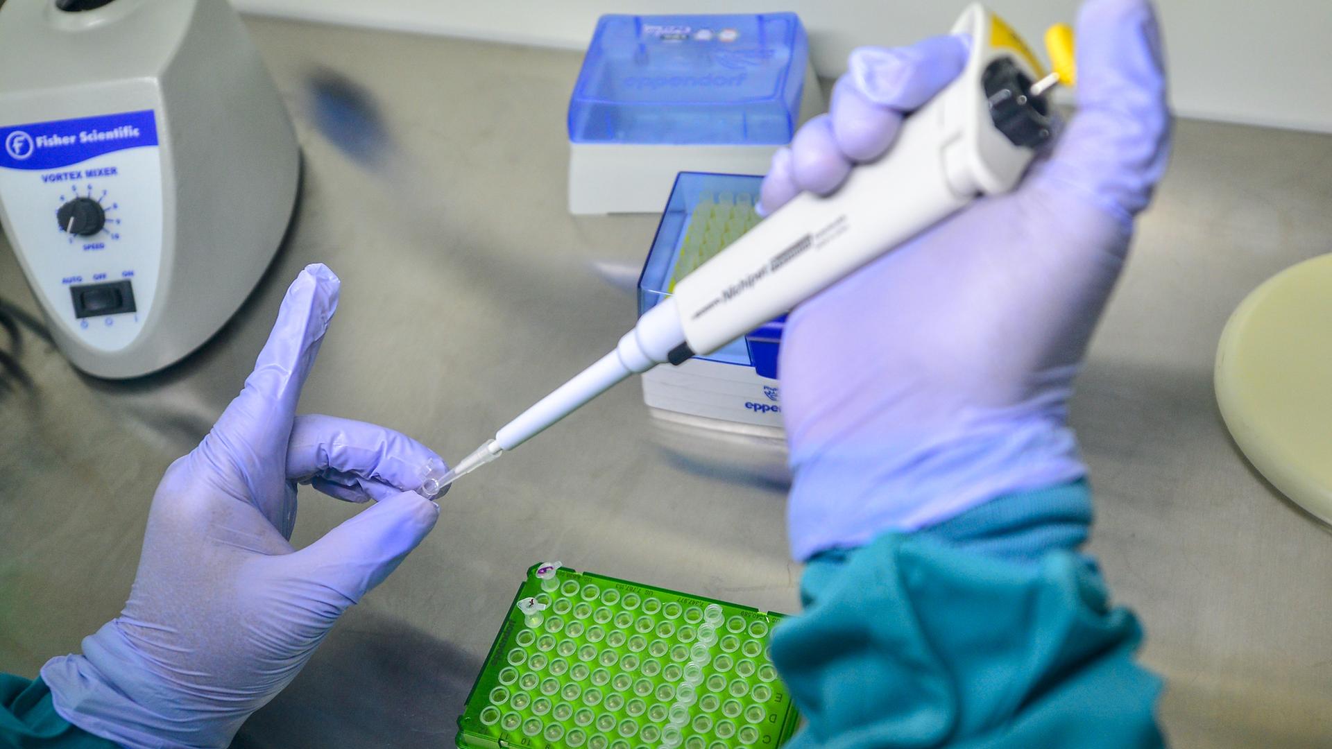 Jemand träufelt aus einer Pipette auf ein Probenröhrchen. Jemand träufelt aus einer Pipette auf ein Probenröhrchen.
