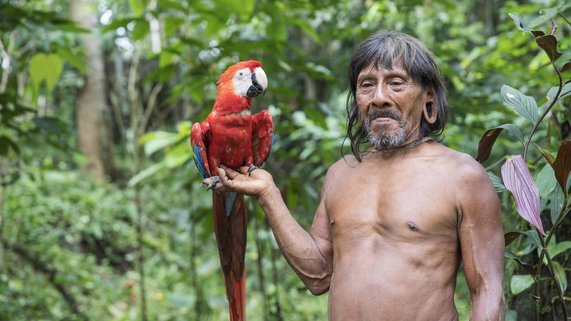 Ein Mann der Huaorani im Yasuni National Park in Ecuador mit einem großen Ara (Papagei) auf dem Arm.
