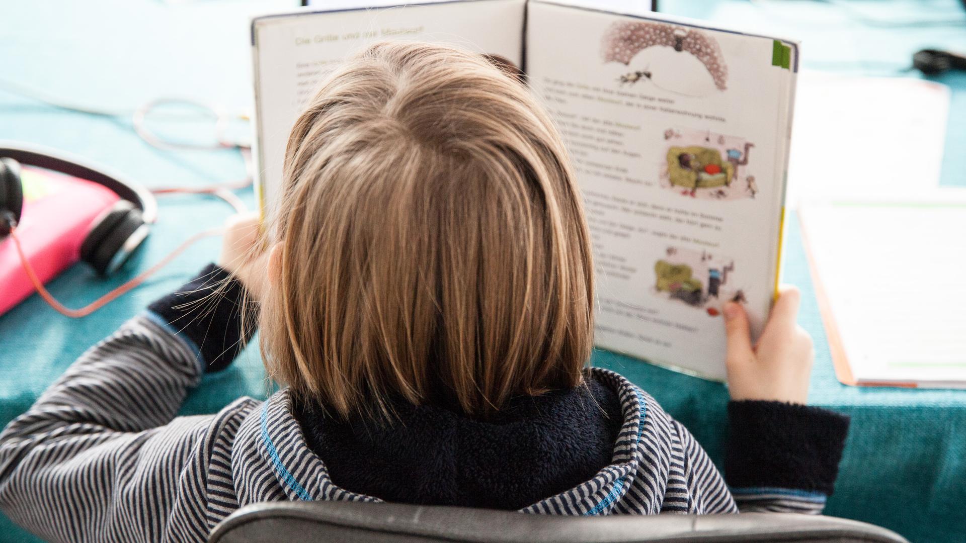 Ein Schulkind hat ein Schulbuch in der Hand, sitzt an einem Tisch und liest. Man sieht es von hinten. Ein Schulkind hat ein Schulbuch in der Hand, sitzt an einem Tisch und liest. Man sieht es von hinten.