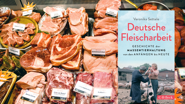 Das Buchcover von Veronika Settele: "Deutsche Fleischarbeit" vor einer prall gefüllten Fleischtheke Das Buchcover von Veronika Settele: "Deutsche Fleischarbeit" vor einer prall gefüllten Fleischtheke