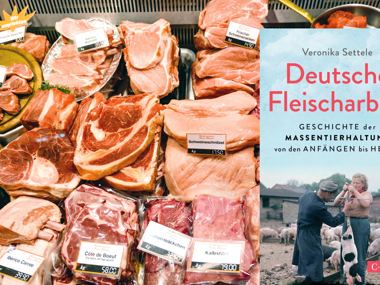 Das Buchcover von Veronika Settele: "Deutsche Fleischarbeit" vor einer prall gefüllten Fleischtheke