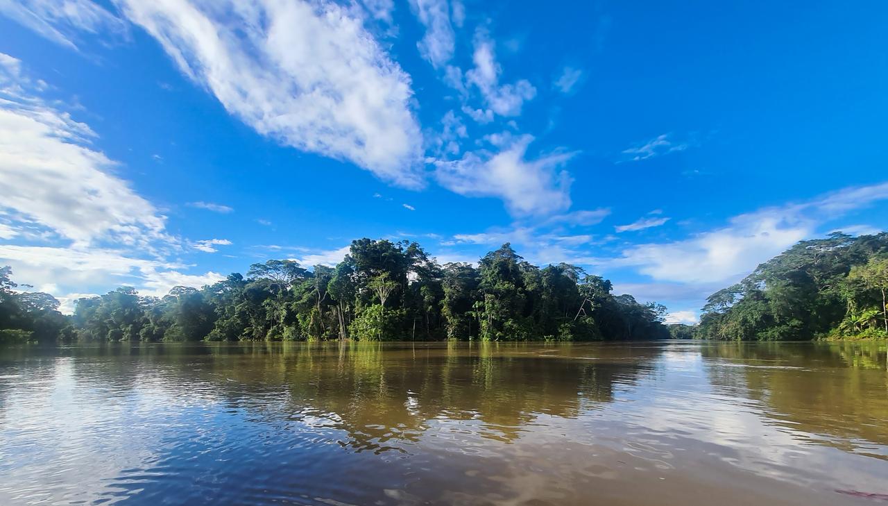 Blick auf den Fluss Río Napo im Amazonas Blick auf den Fluss Río Napo im Amazonas