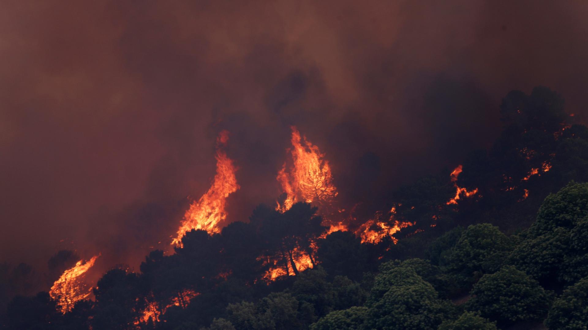 Spain Wildfire