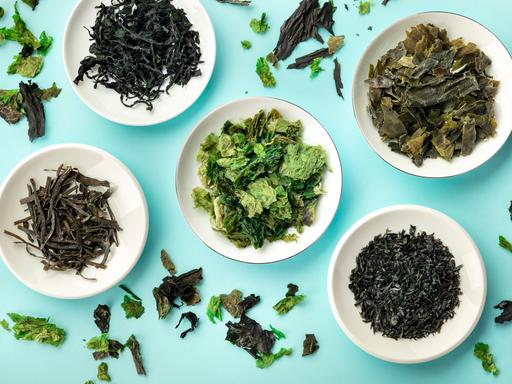 Fünf weisse Teller mit verschiedenen Arten von getrockneten Algen wurden auf einer petrol farbenen Unterlage von oben fotografiert.