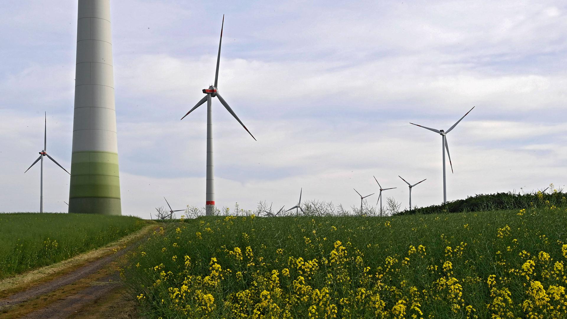 Windpark bei Prittitz, 25.05.2022 Windpark bei Prittitz, 25.05.2022