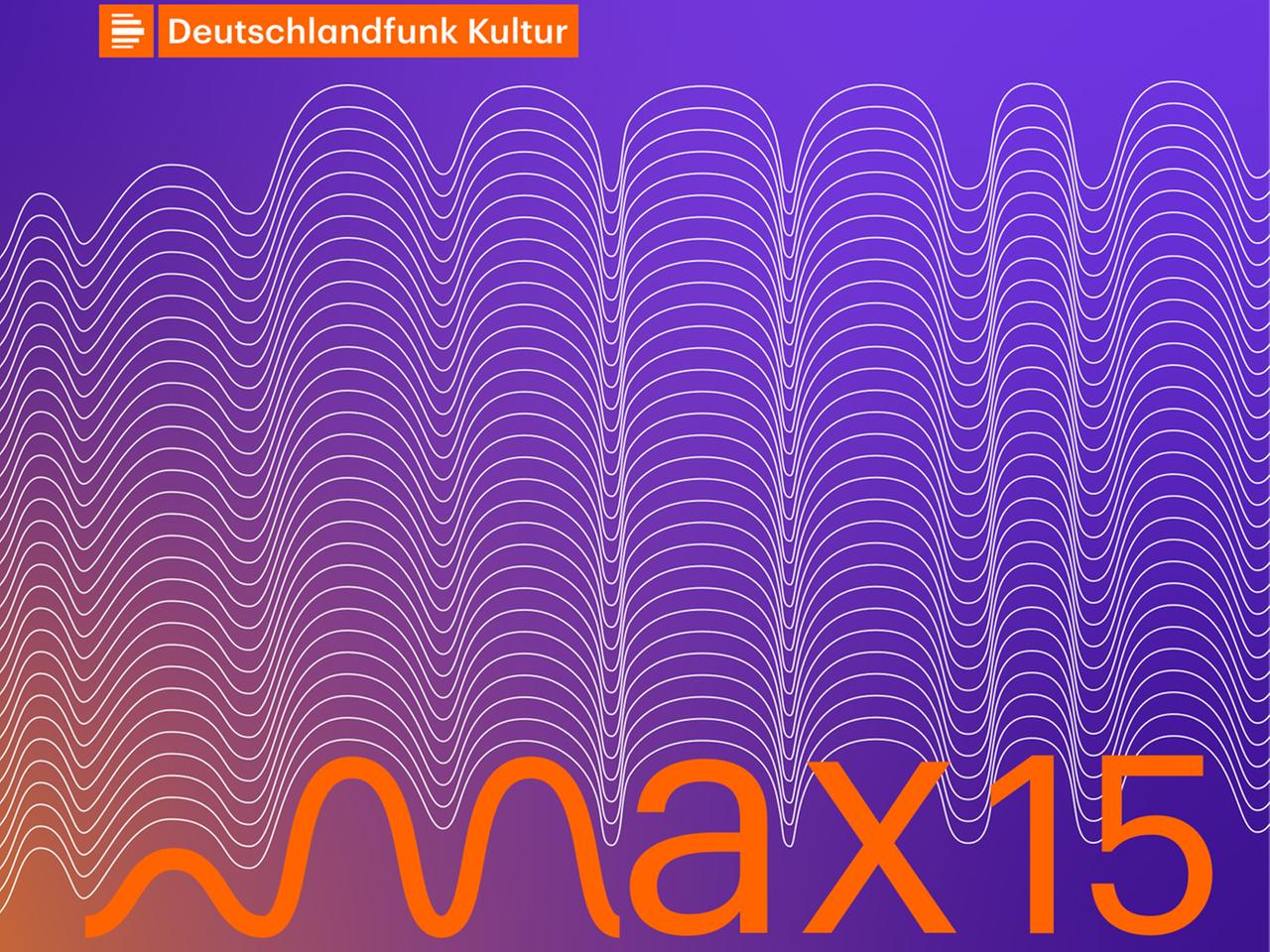 Ein Logo für den max15-Preis