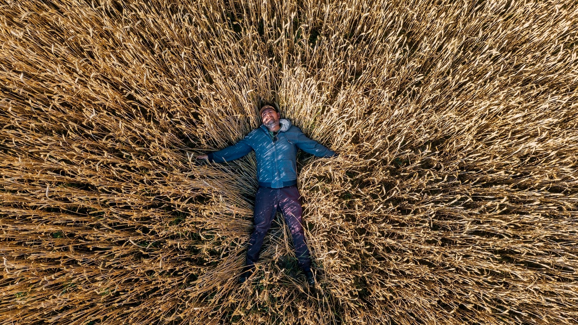  Ein Mann liegt allein in einem Kornfeld