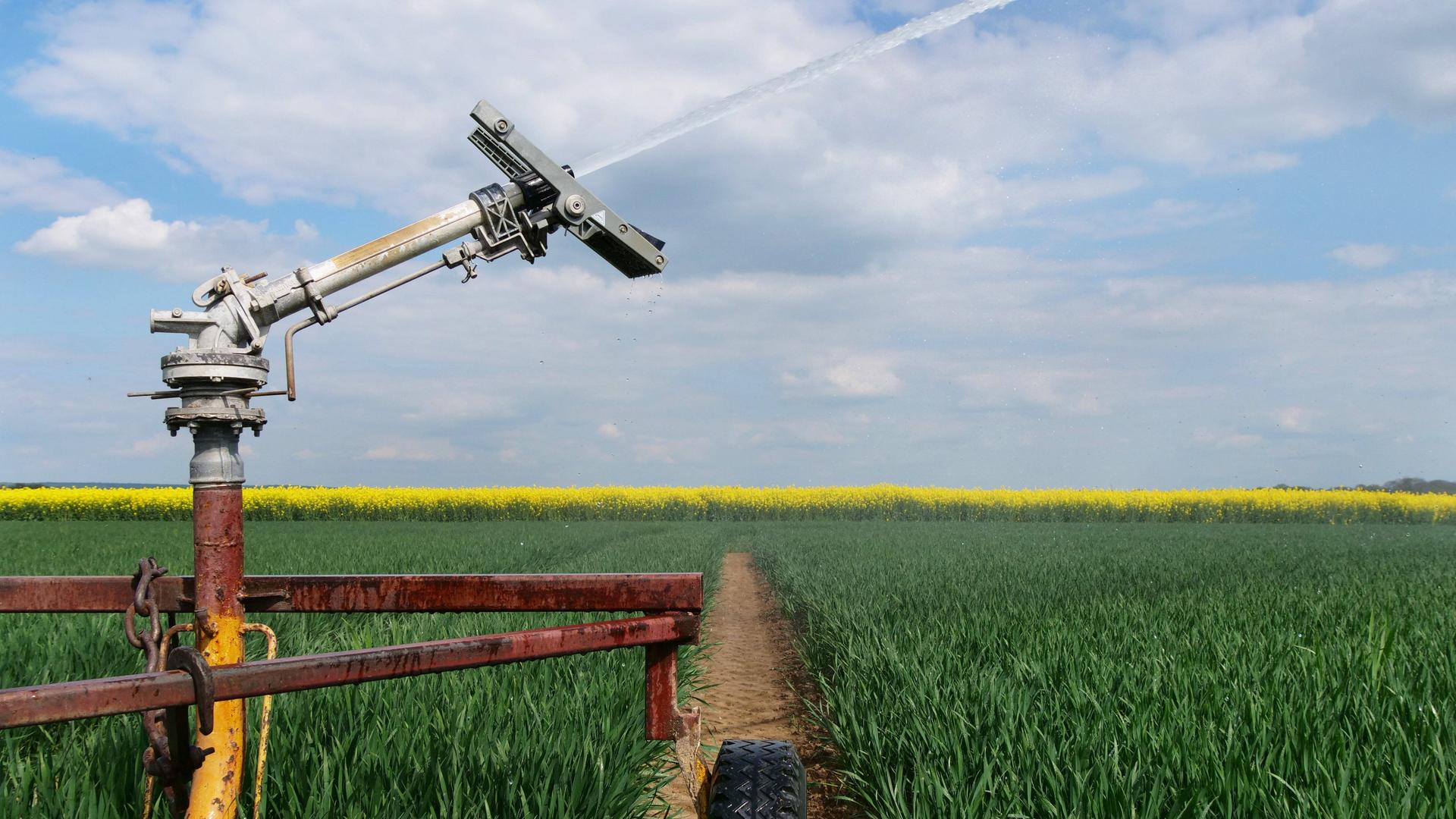 Auf einem Feld steht eine Beregnungsanlage, die Wasser auf das Feld spritzt Auf einem Feld steht eine Beregnungsanlage, die Wasser auf das Feld spritzt