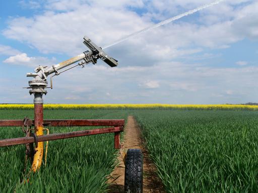 Auf einem Feld steht eine Beregnungsanlage, die Wasser auf das Feld spritzt