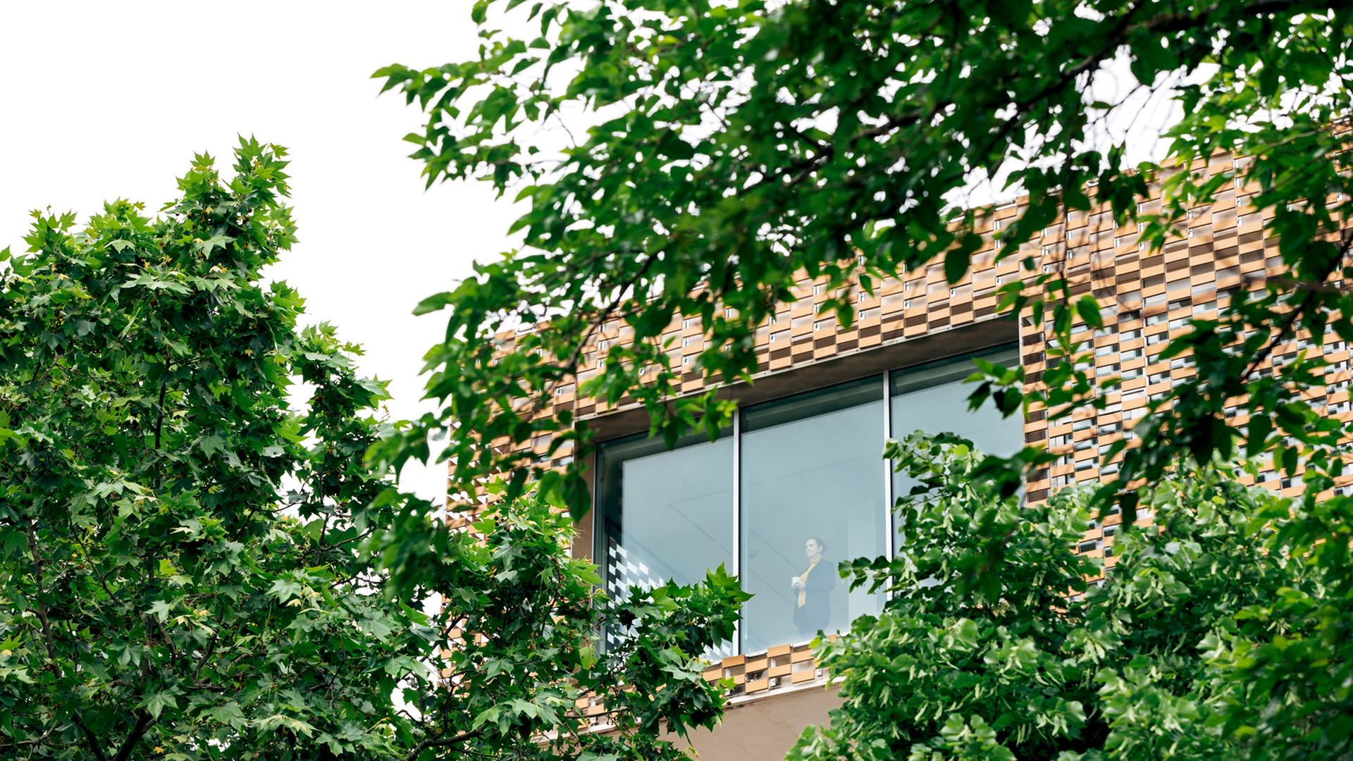 Die Ehrlichs haben sich ihr Traumhaus gebaut – es gibt Komplikationen. Zu sehen: Bäume im Vordergrund, dahinter der Teil eines modernen Hauses mit großen Fenstern. Die Ehrlichs haben sich ihr Traumhaus gebaut – es gibt Komplikationen. Zu sehen: Bäume im Vordergrund, dahinter der Teil eines modernen Hauses mit großen Fenstern.