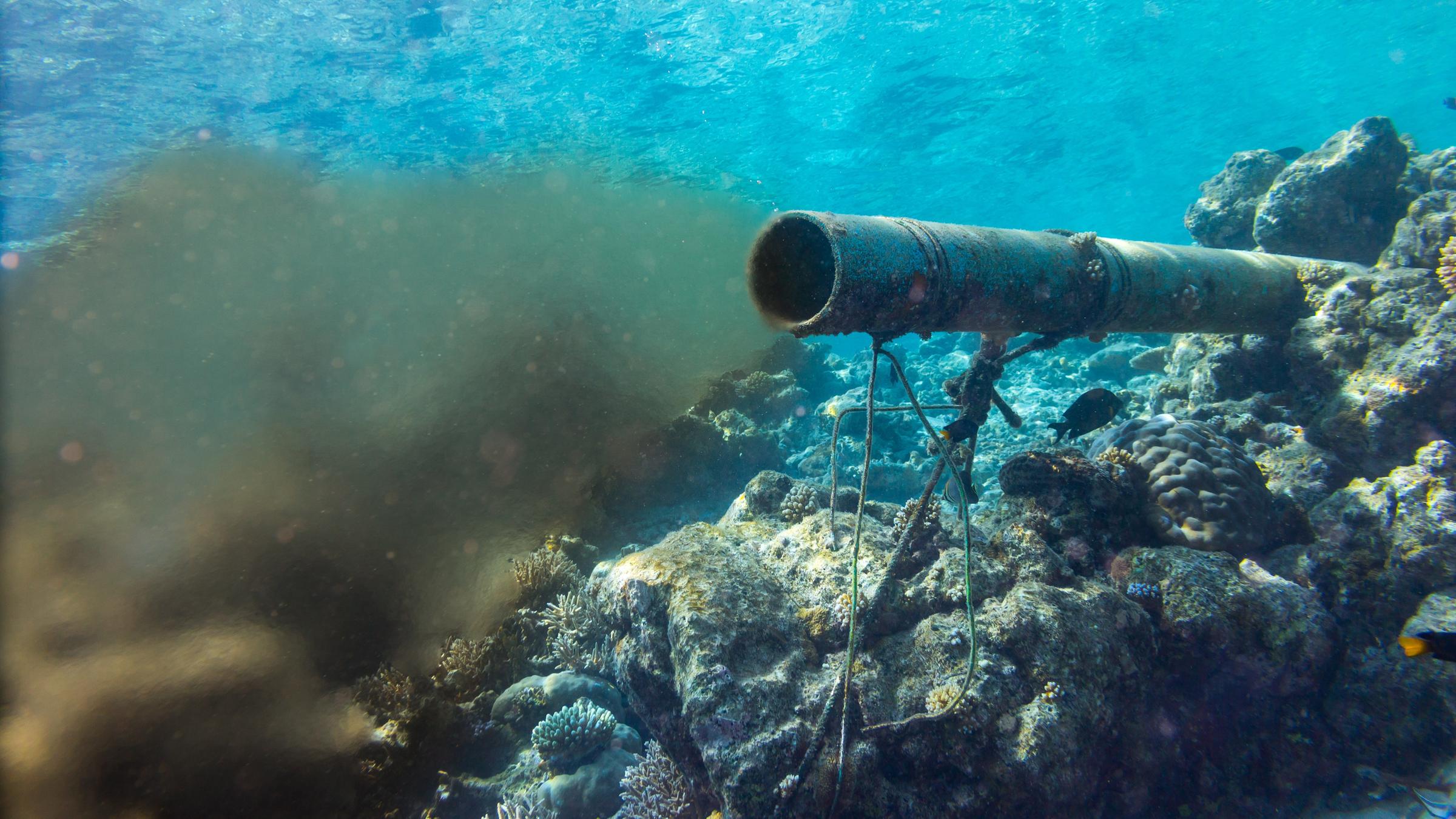Eine Unterwasser-Abwasserleitung in Korallenriff beschädigt und verdunkelt den Ozean. 
