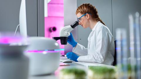 Wissenschaftlerin schaut in einem Labor durch ein Mikroskop 