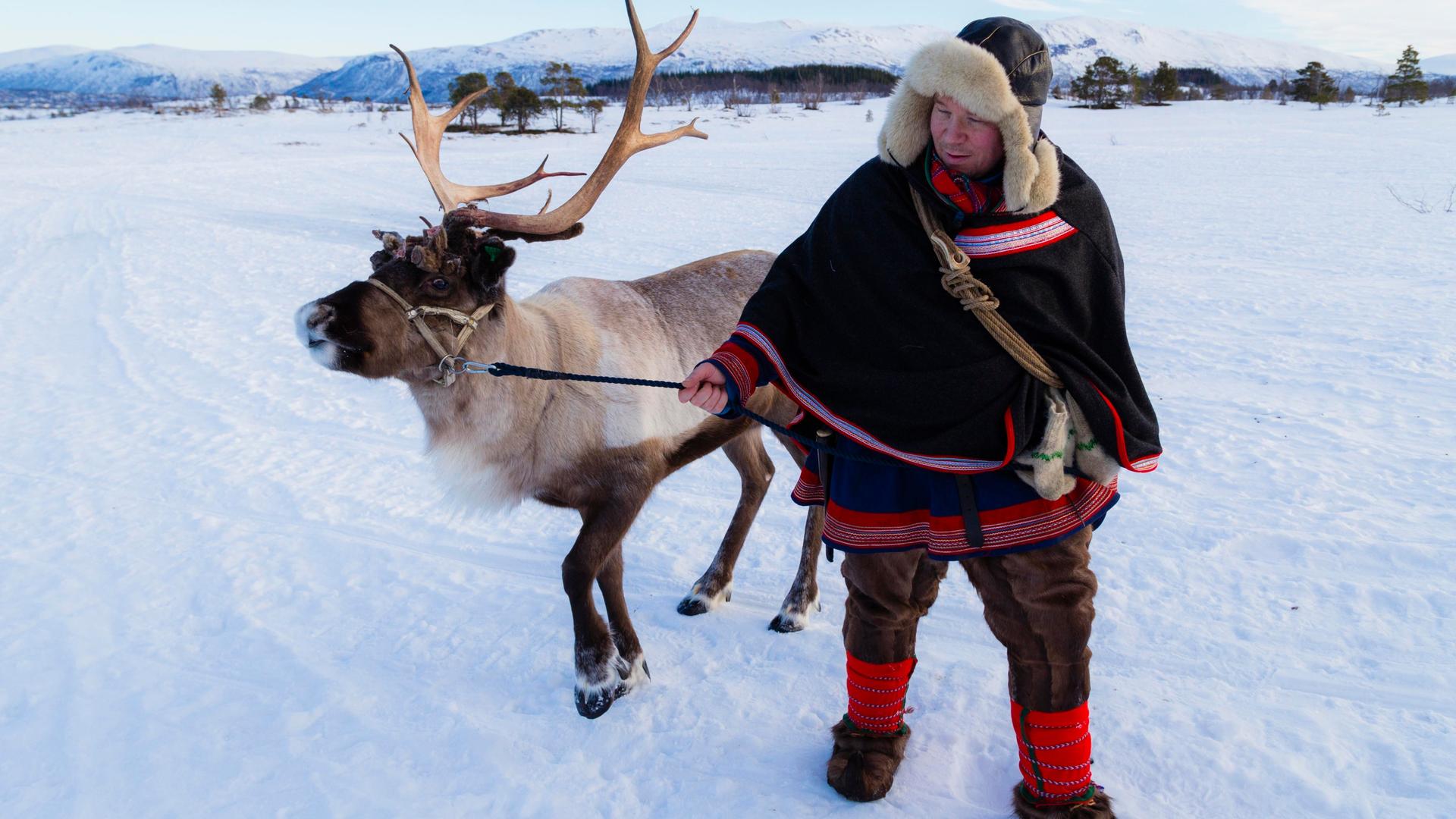 Mann in traditioneller samischer Tracht und mit Rentier in Norwegen