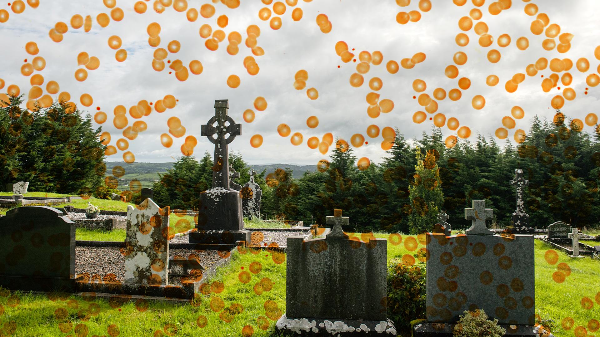 Blick auf einen Friedhof. Das Foto wird von einer Grafik mit orangen Punkten überlagert. Blick auf einen Friedhof. Das Foto wird von einer Grafik mit orangen Punkten überlagert.