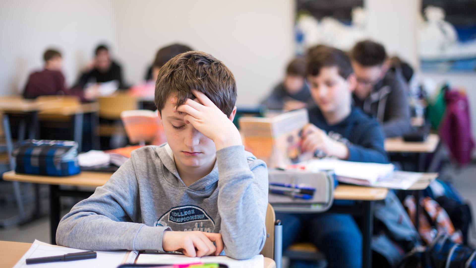 Ein Schüler Thomas liest in einem Klassenraum während einer Dalton-Stunde in einem Buch. Ein Schüler Thomas liest in einem Klassenraum während einer Dalton-Stunde in einem Buch.