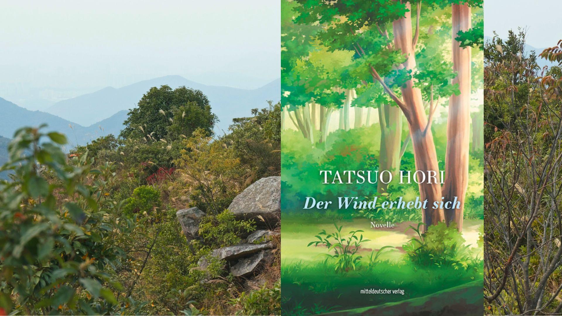 Tatsuo Hori: "Der Wind erhebt sich" Tatsuo Hori: "Der Wind erhebt sich"