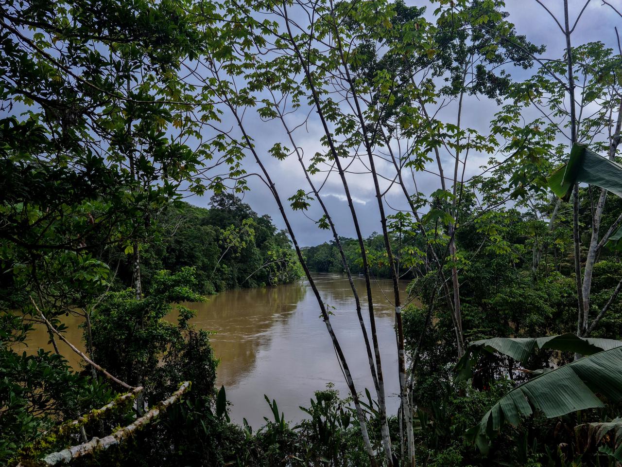 Der Fluss Río Tiputini in Ecuador