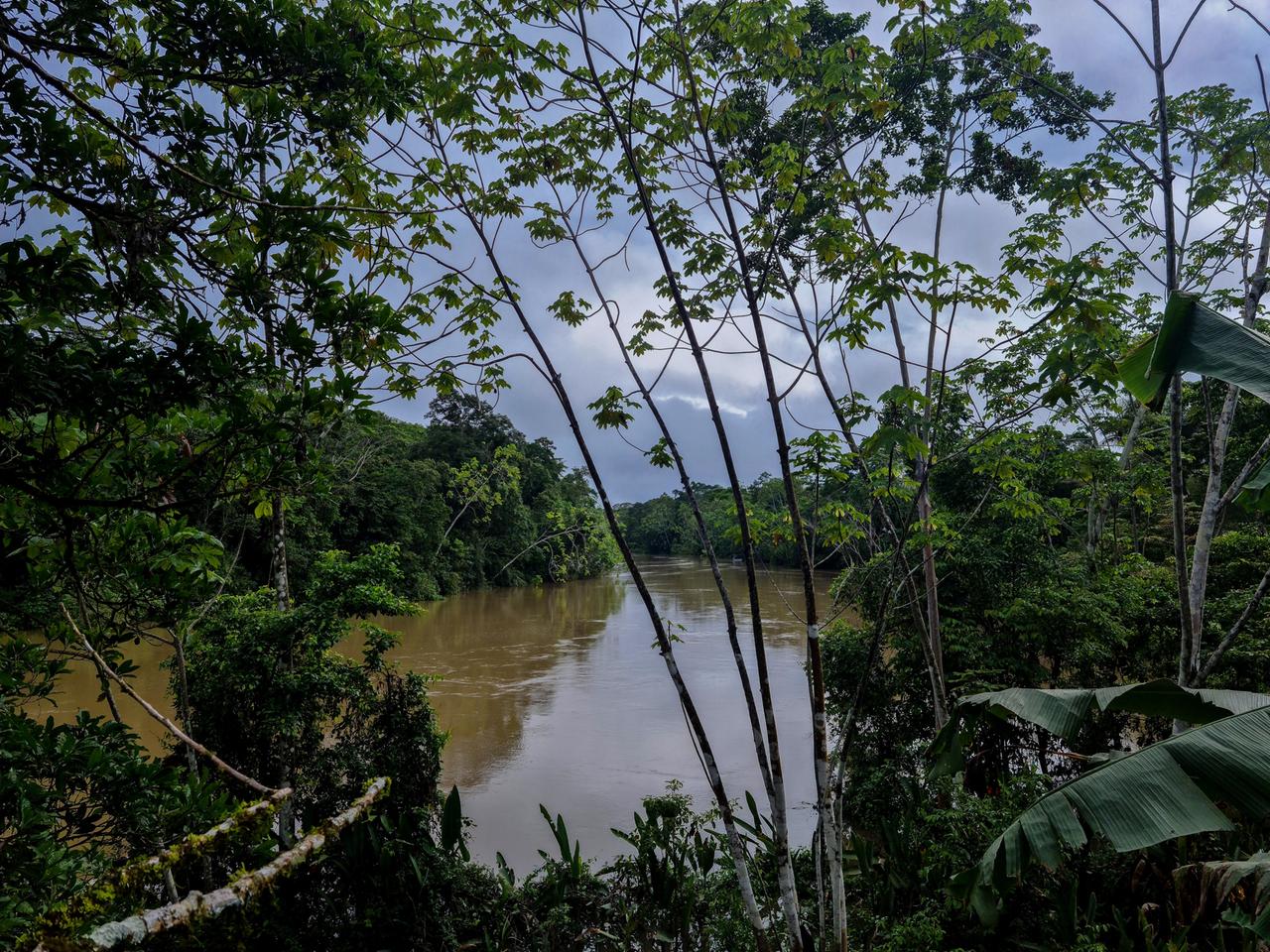 Der Fluss Río Tiputini in Ecuador Der Fluss Río Tiputini in Ecuador