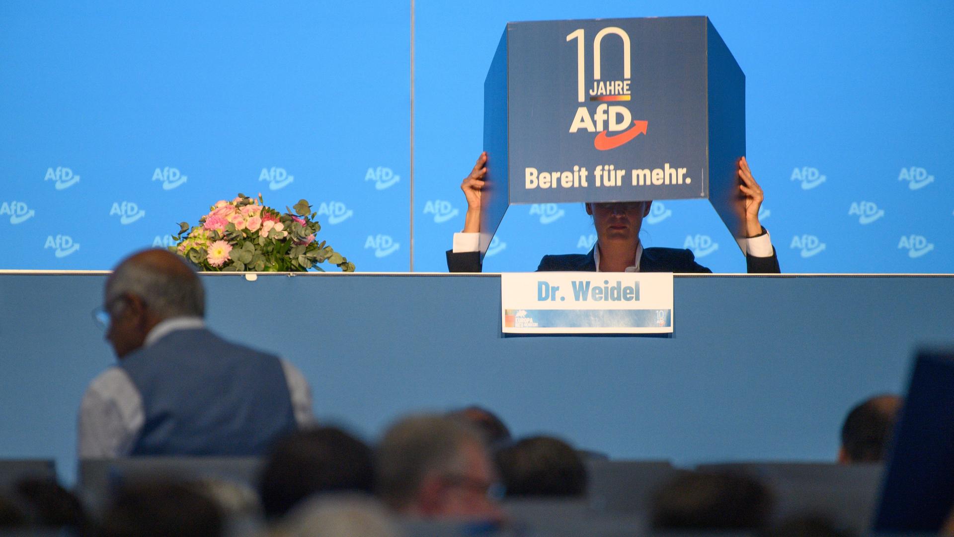 Alice Weidel hantiert mit einem Sichtschutz, den sie als individuelle Wahlkabine auf ihrem Tisch auf dem Podium aufbaut. Im Vordergrund sind weitere Teilnehmer der AfD-Europawahlversammlung zu sehen. Alice Weidel hantiert mit einem Sichtschutz, den sie als individuelle Wahlkabine auf ihrem Tisch auf dem Podium aufbaut. Im Vordergrund sind weitere Teilnehmer der AfD-Europawahlversammlung zu sehen.