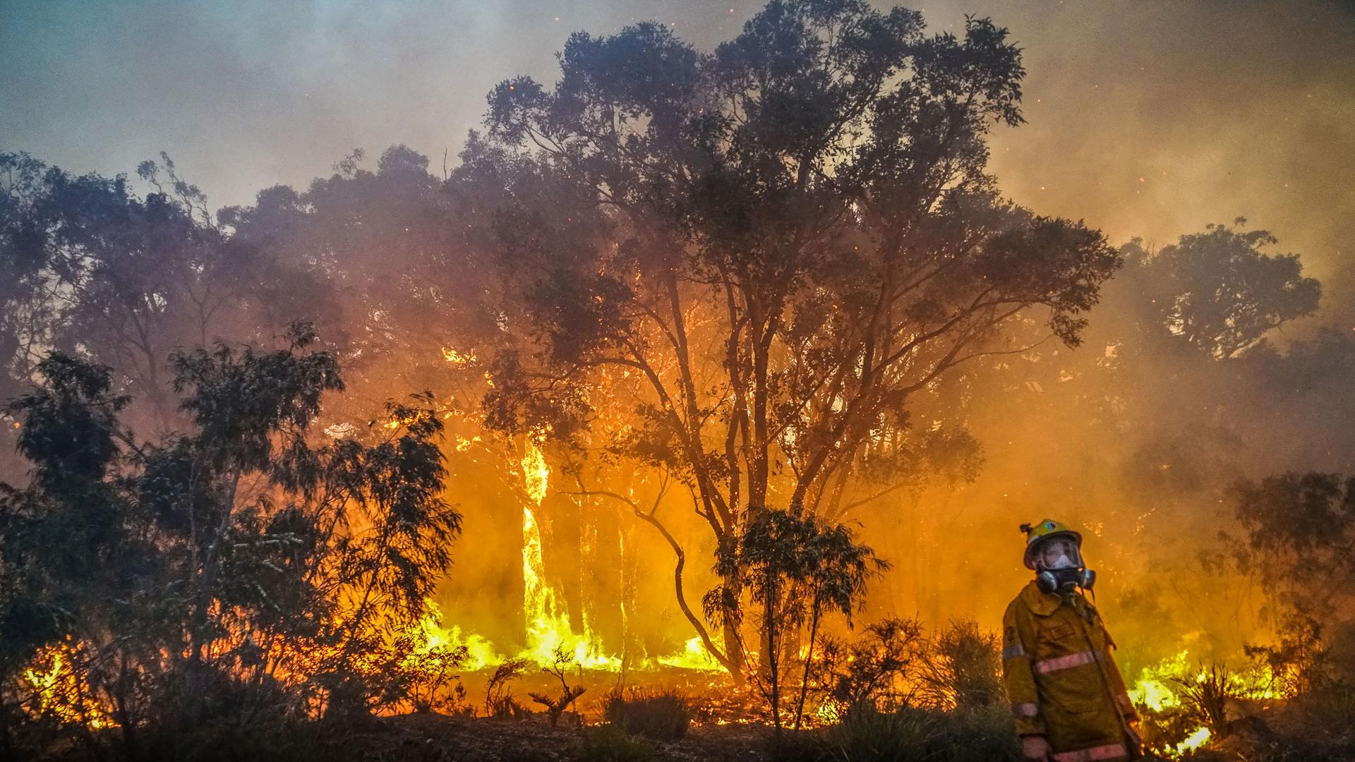 Das Foto zeigt einen Brand in Australien. Das Foto zeigt einen Brand in Australien.