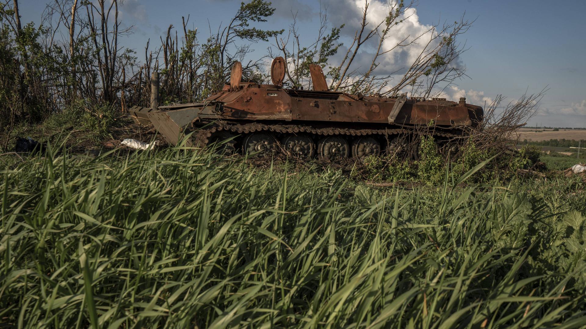 Ein zerstörter Panzer steht auf einer Wiese hinter Büschen Ein zerstörter Panzer steht auf einer Wiese hinter Büschen