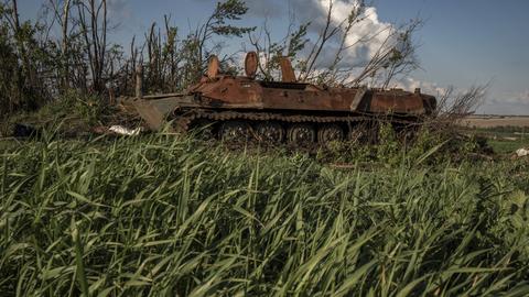 Ein zerstörter Panzer steht auf einer Wiese hinter Büschen