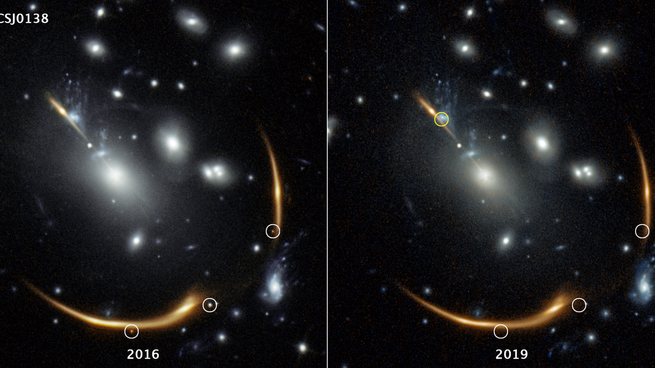 2016 leuchteten drei Bilder derselben Supernova auf, das vierte (oben) wird erst in etwa 15 Jahren erwartet
2016 leuchteten drei Bilder derselben Supernova auf, das vierte (oben) wird erst in etwa 15 Jahren erwartet