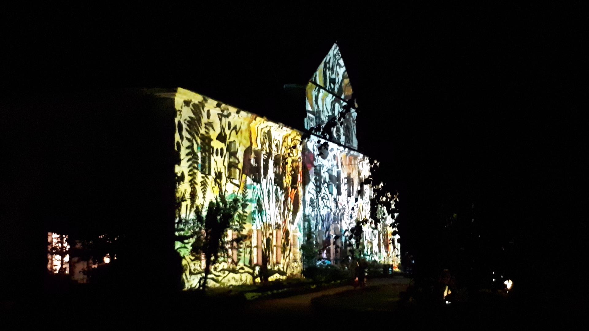 In einer schwarzen Nacht leuchtet die Fassade eines Schlosses in einer Lichtinstallation mit naturnahen Zeichnungen.