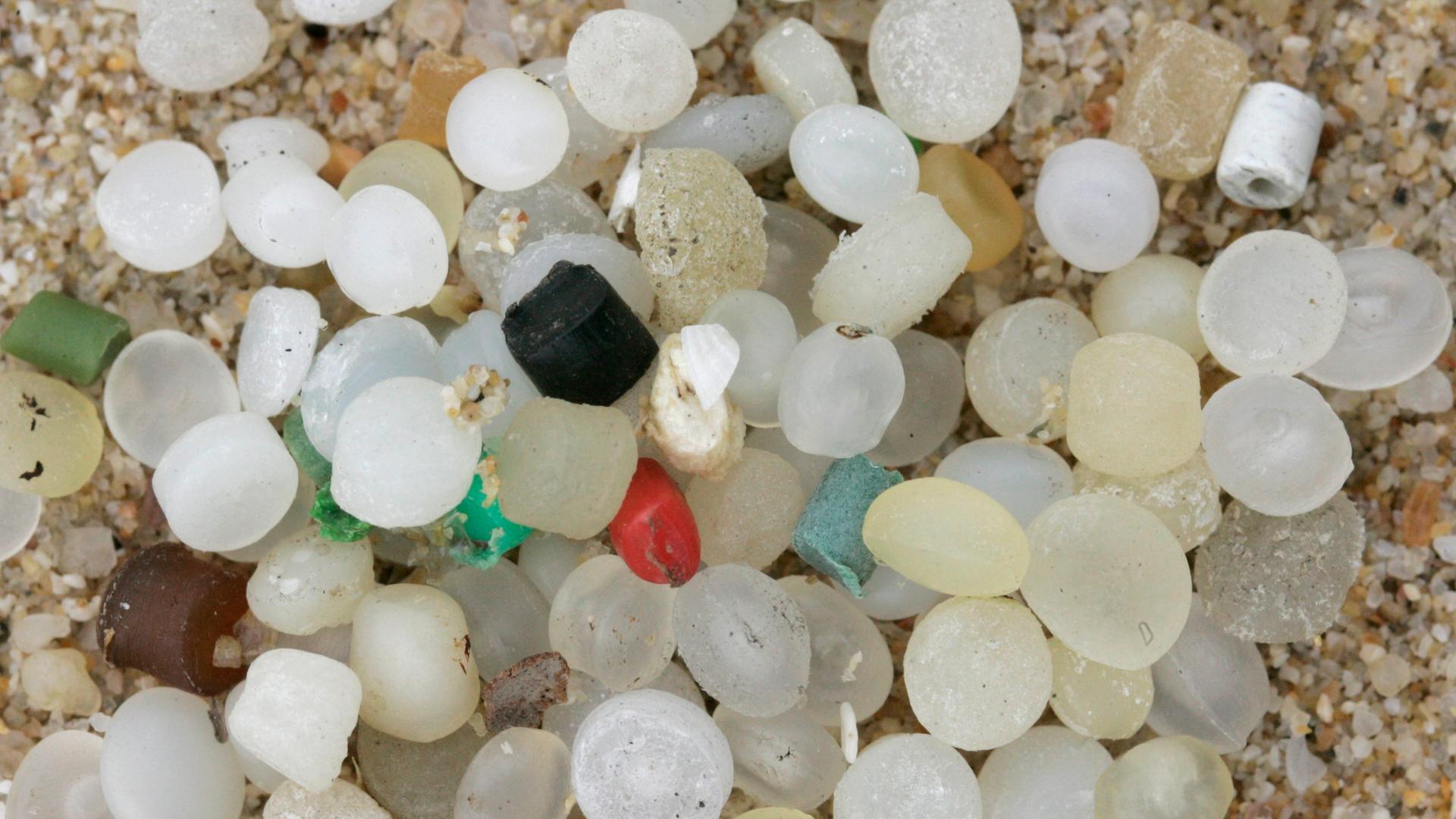 Vergrößerte Aufnahme von kleinsten Plastikteilchen, die aus dem Wasser stammen.