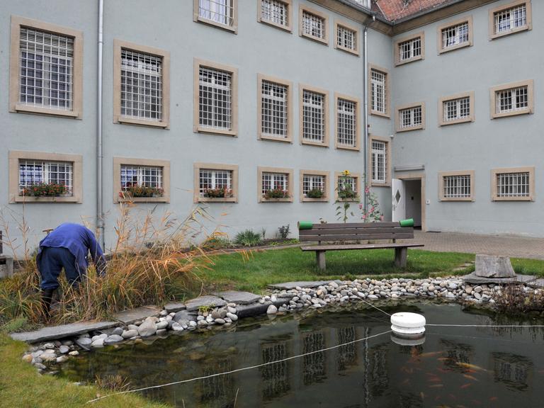 Ein Gefangener pflegt am 18.11.2008 den Gartenteich des einzigen Seniorengefängnis Deutschlands in Singen (Landkreis Konstanz). In der Aussenstelle der Justizvollzugsanstalt (JVA) Konstanz werden Verbrecher ab 62 Jahren mit mehr als 15 Monaten Freiheitsstrafe aufgenommen