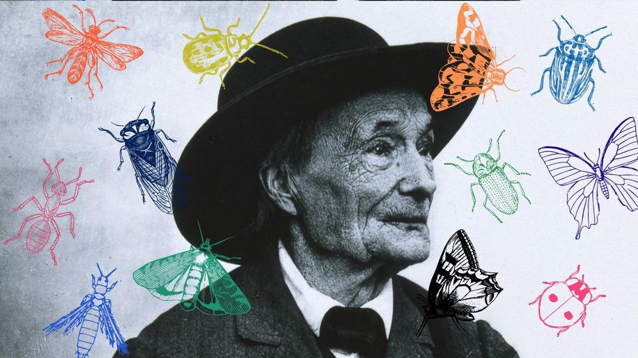 Collage vom Portrait Jean-Henri Fabre mit Insekten. Collage vom Portrait Jean-Henri Fabre mit Insekten.