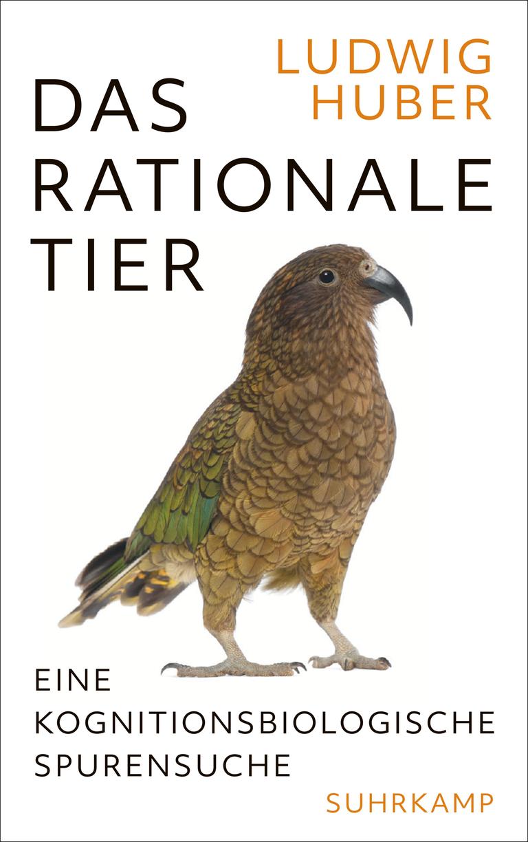 Das Cover des Buches "Das rationale Tier" von Ludwig Huber: Darauf ist ein Vogel abgebildet. Das Cover des Buches "Das rationale Tier" von Ludwig Huber: Darauf ist ein Vogel abgebildet.