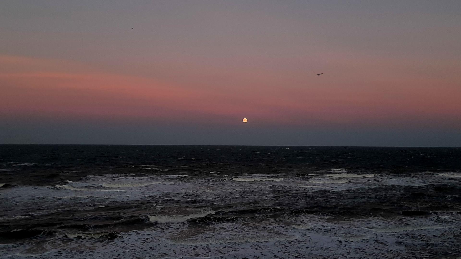 Bei Dämmerung zeigt sich am Osthimmel für einige Minuten ein rötlich-orangefarbenes Band, das den halben Himmel umspannen kann. Bei Dämmerung zeigt sich am Osthimmel für einige Minuten ein rötlich-orangefarbenes Band, das den halben Himmel umspannen kann.