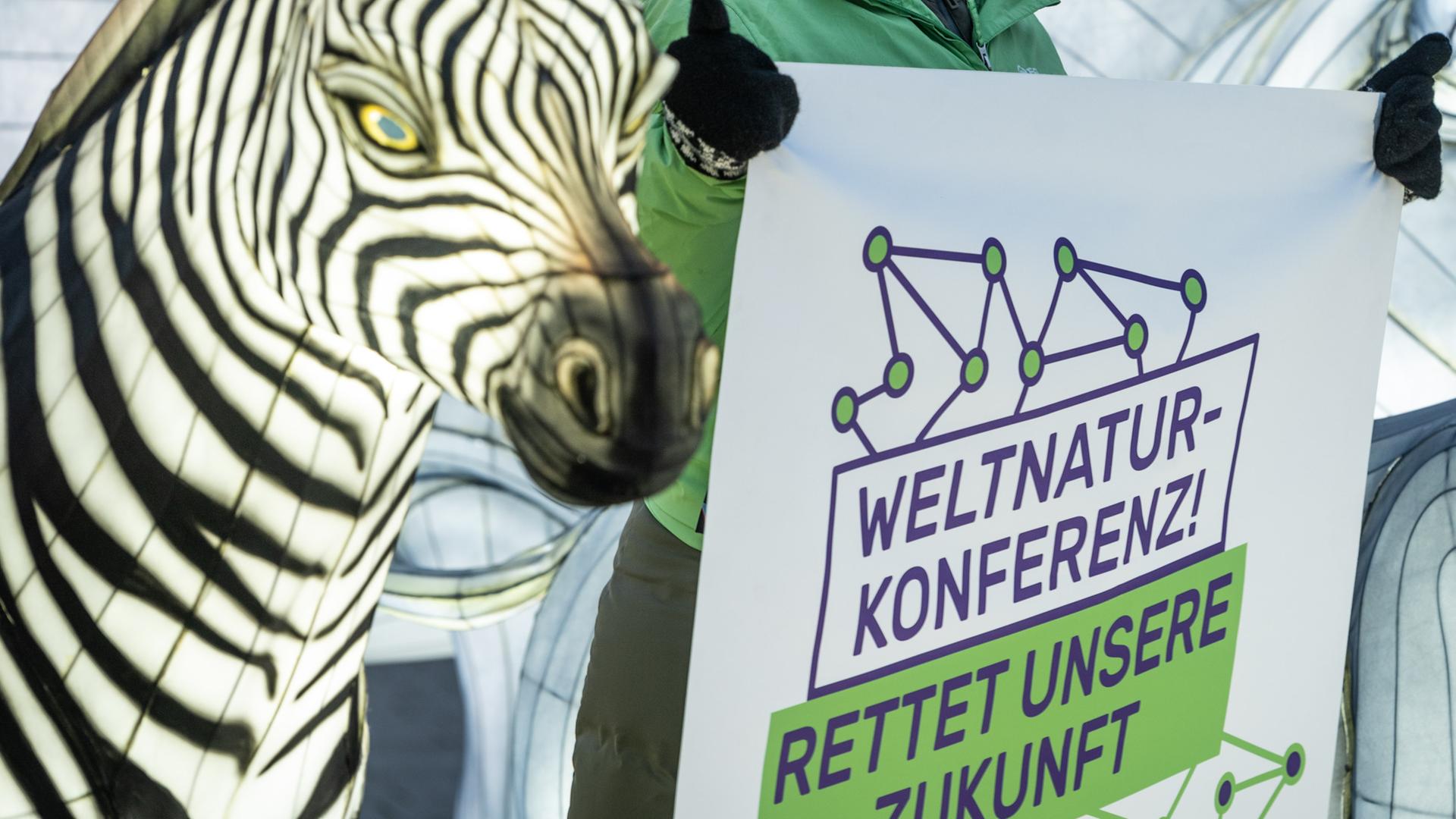 Die Umweltorganisation Greenpeace hat in Bonn mit lebensgroÃen illuminierten Tierfiguren für besseren Naturschutz demonstriert. Die Leuchtfiguren wurden am Montag auf dem Platz der Vereinten Nationen aufgestellt - in der Stadt am Rhein gibt es mehrere UN-Einrichtungen. Anlass für die Aktion mit dem Titel «Konferenz der Tiere» war die Weltnaturkonferenz im kanadischen Montreal, die vom 7. bis zum 19. Dezember stattfinden soll. Die Umweltorganisation Greenpeace hat in Bonn mit lebensgroÃen illuminierten Tierfiguren für besseren Naturschutz demonstriert. Die Leuchtfiguren wurden am Montag auf dem Platz der Vereinten Nationen aufgestellt - in der Stadt am Rhein gibt es mehrere UN-Einrichtungen. Anlass für die Aktion mit dem Titel «Konferenz der Tiere» war die Weltnaturkonferenz im kanadischen Montreal, die vom 7. bis zum 19. Dezember stattfinden soll.