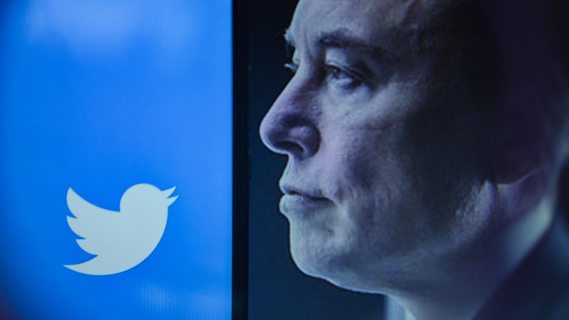 Twitter-Chef Musks Gesicht im Profil blickt in Richtung des Twitter-Symbols. Twitter-Chef Musks Gesicht im Profil blickt in Richtung des Twitter-Symbols.