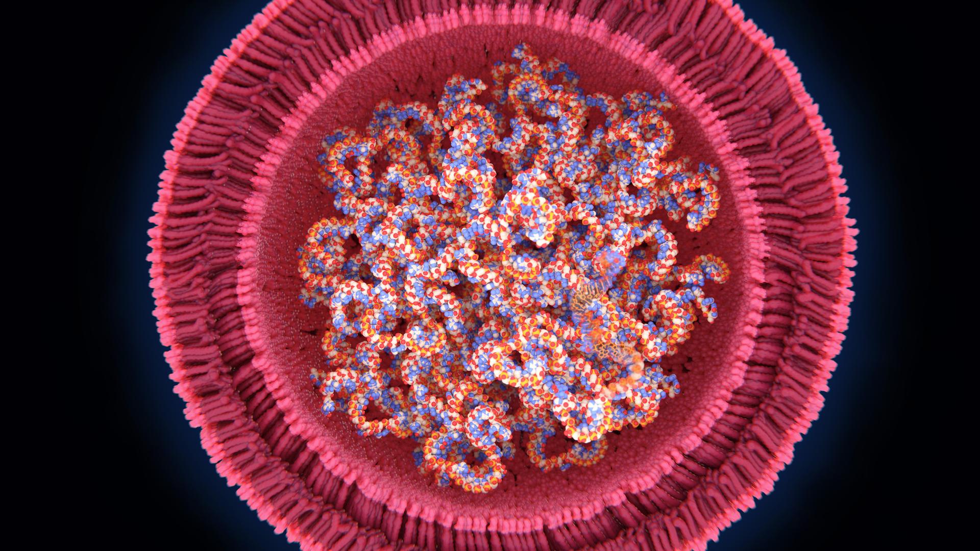 Schematische Darstellung eines RNA Impfstoffs Schematische Darstellung eines RNA Impfstoffs